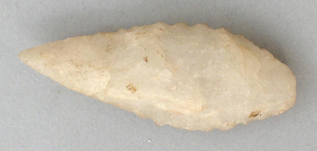 V C 4036