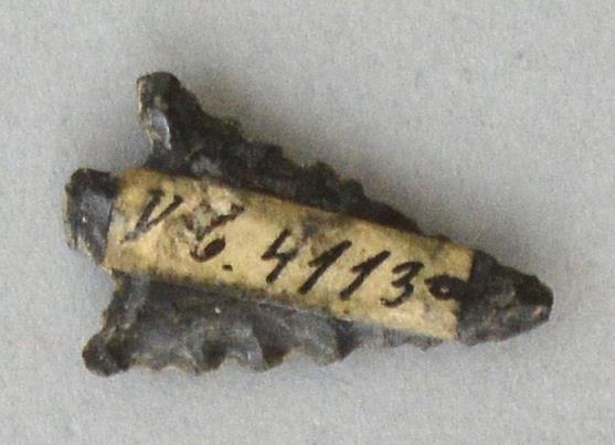 V C 4113 a