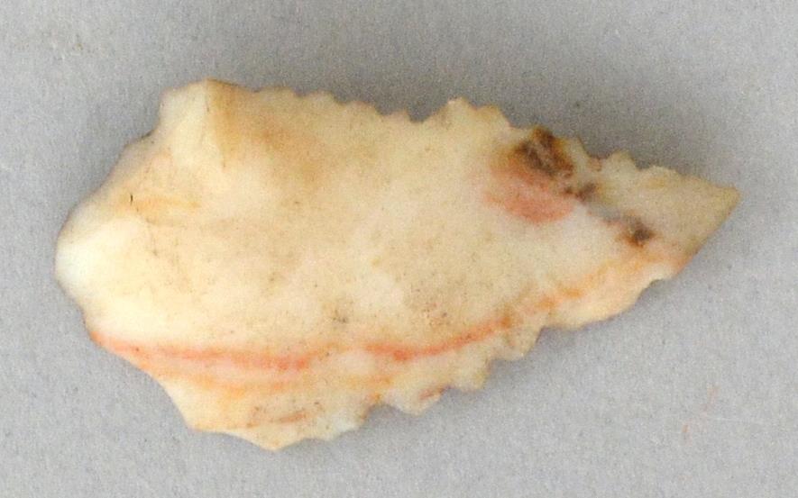 V C 4540