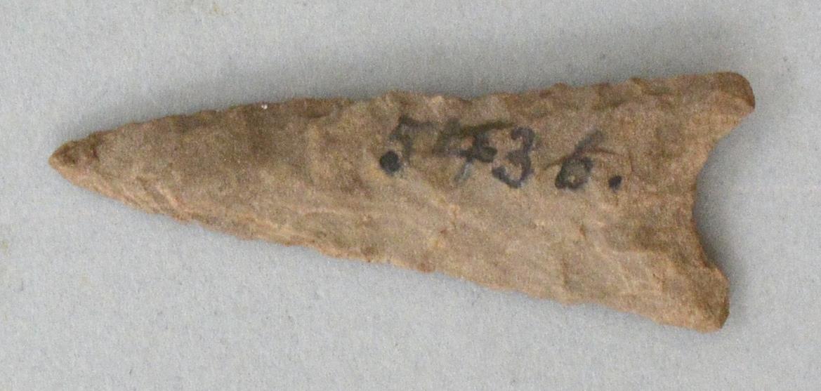 V C 4545