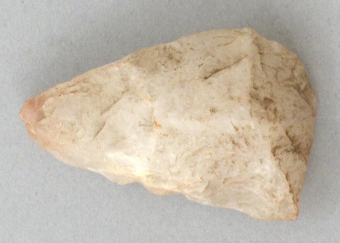 V C 7224