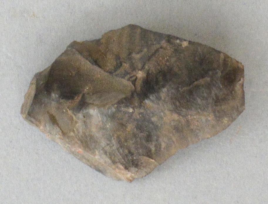 V C 7251