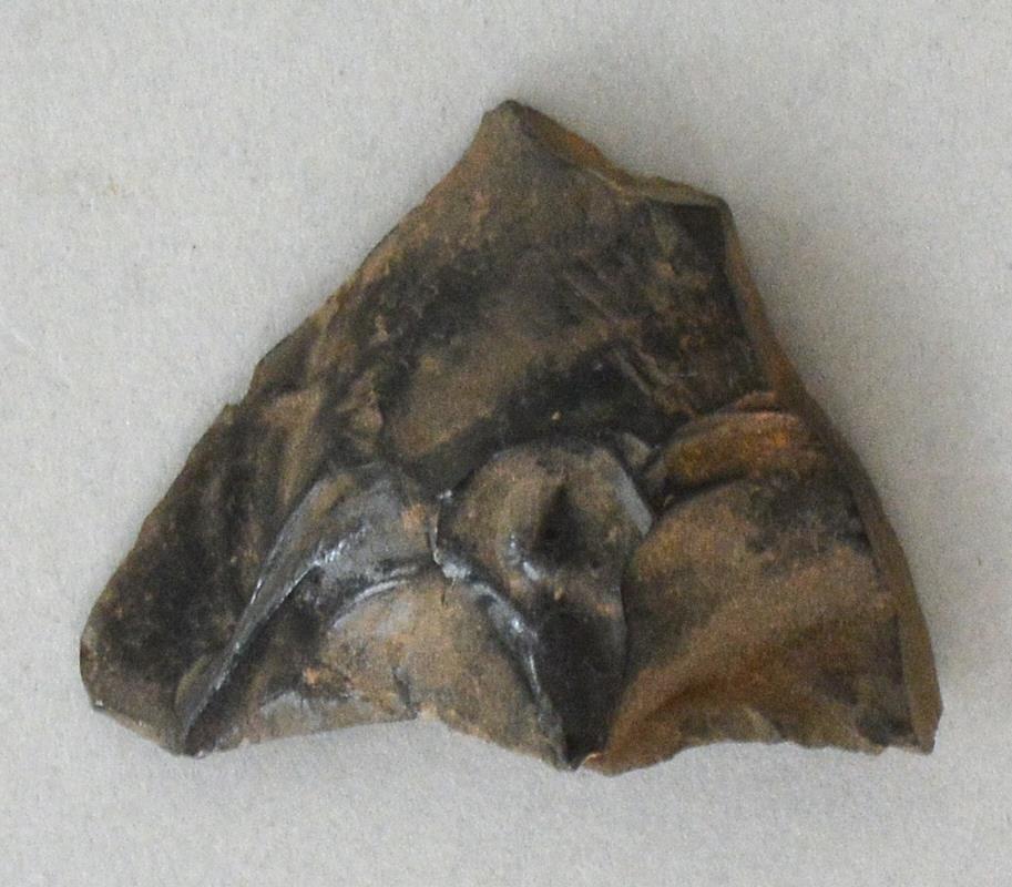 V C 7259