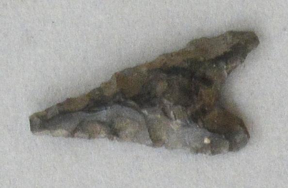 V C 7355