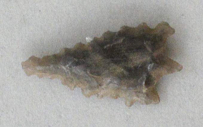 V C 7428