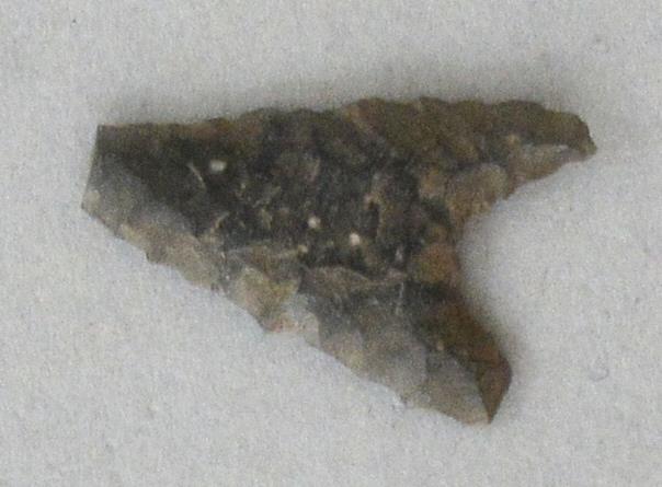 V C 7429