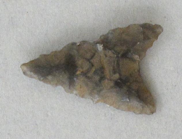 V C 7443