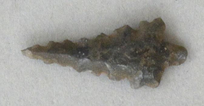 V C 7444