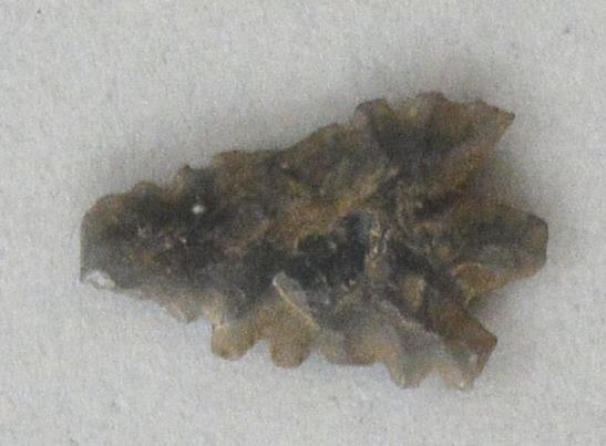 V C 7445
