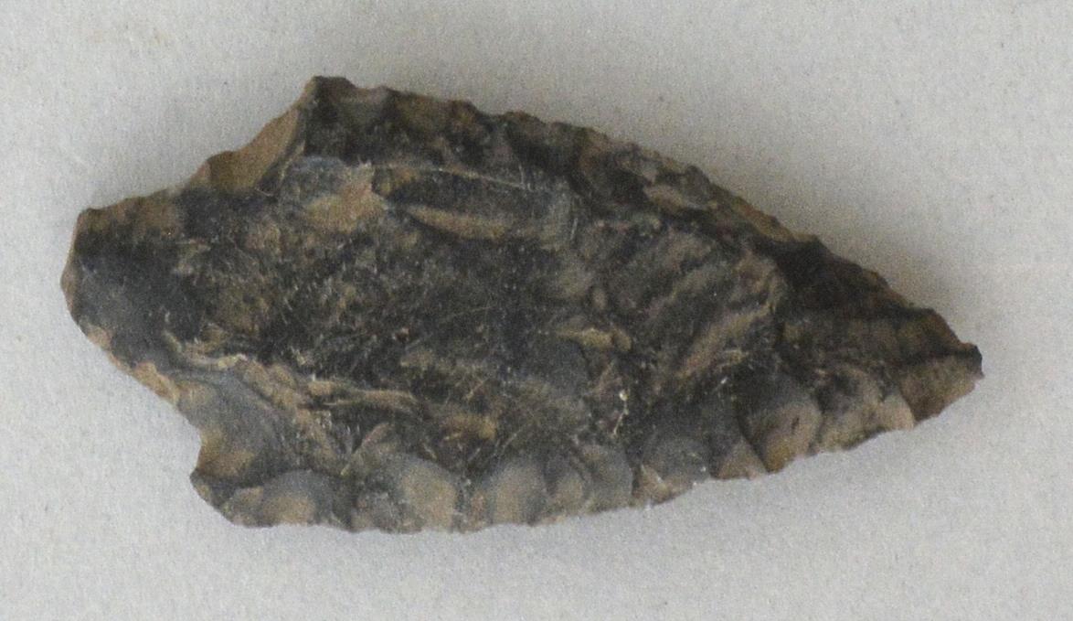V C 7753