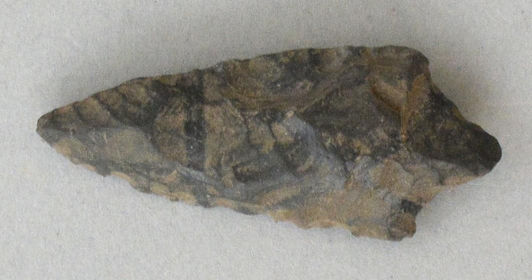 V C 7754
