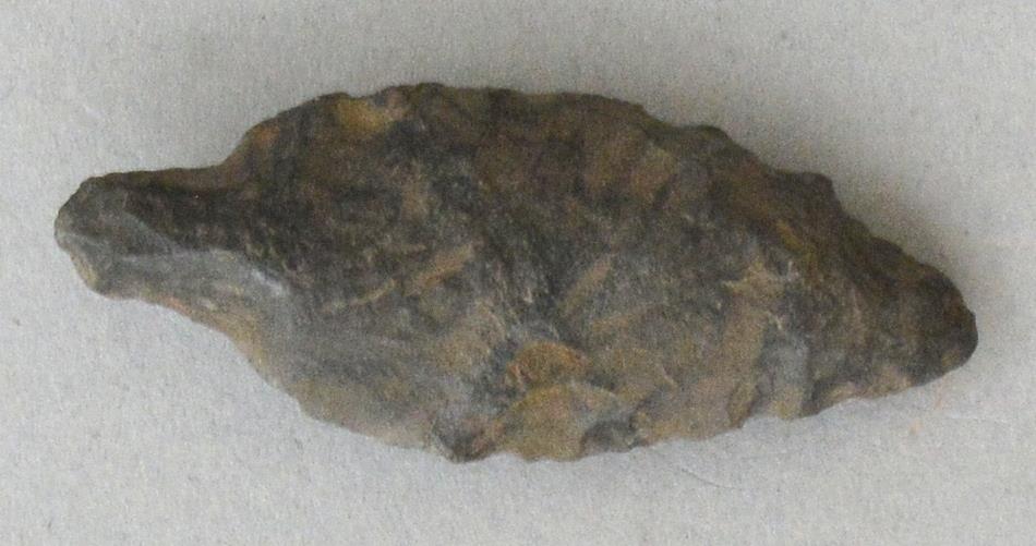 V C 7755