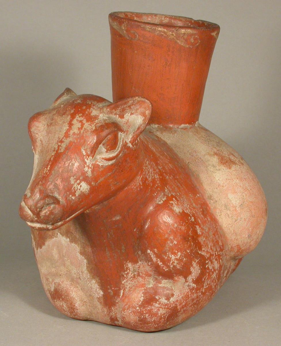 Lama mit Traglast