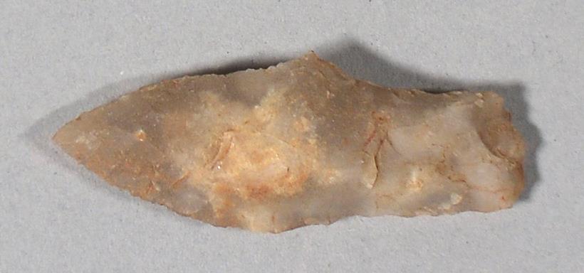 V C 11019
