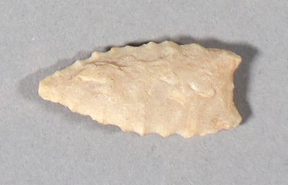 V C 11309 b
