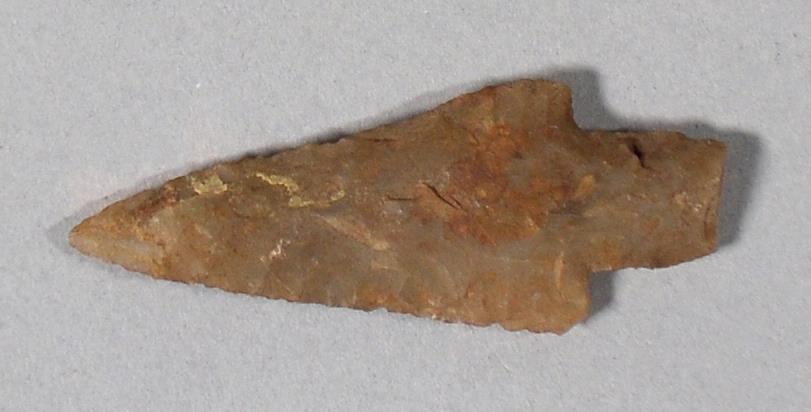 V C 11309 c