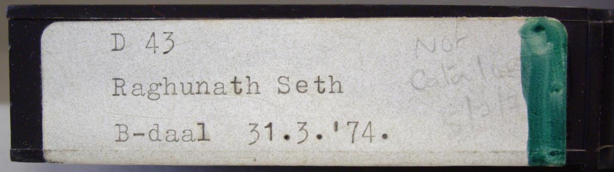 Raghunath Seth (flute)