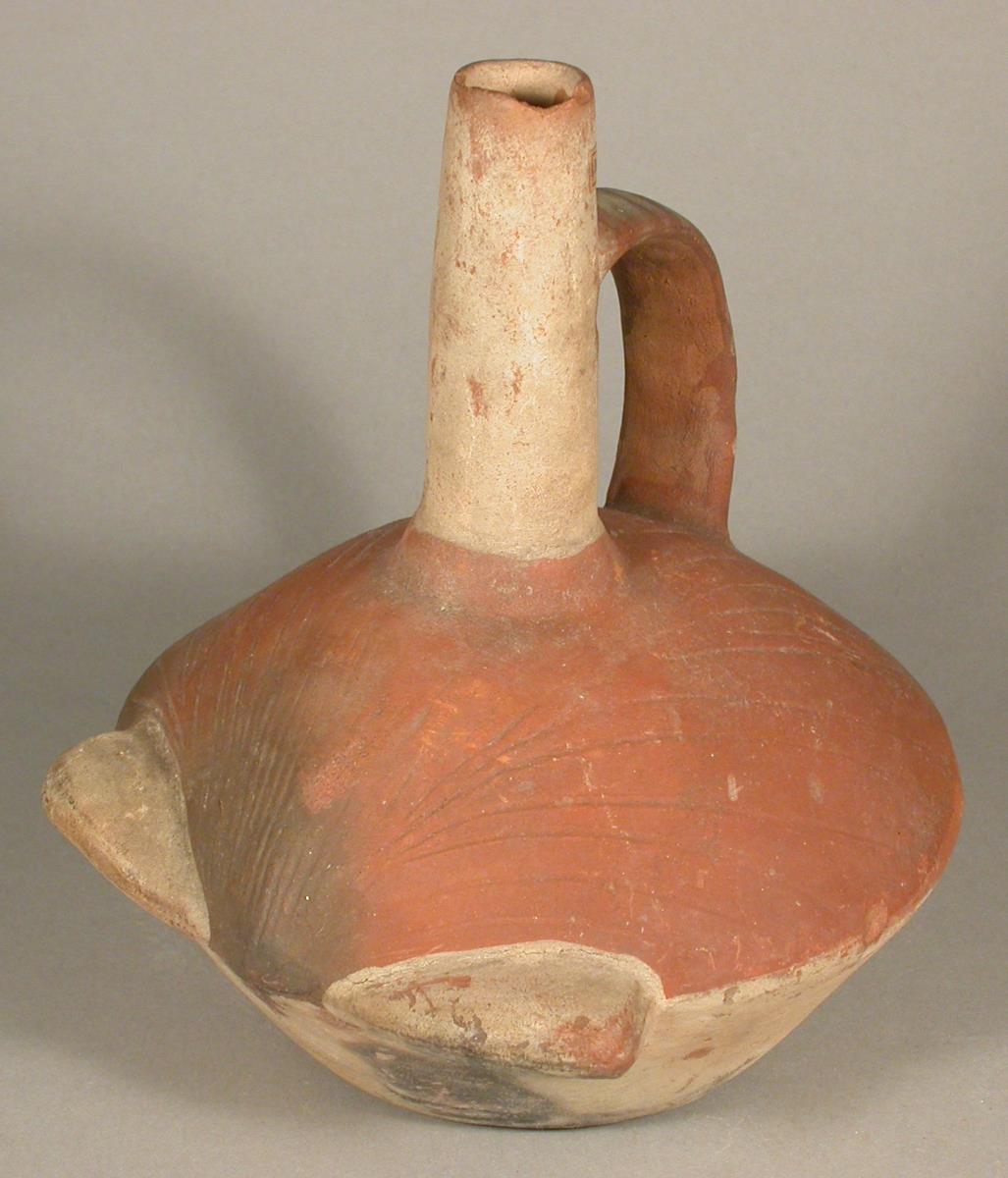 Muschel
