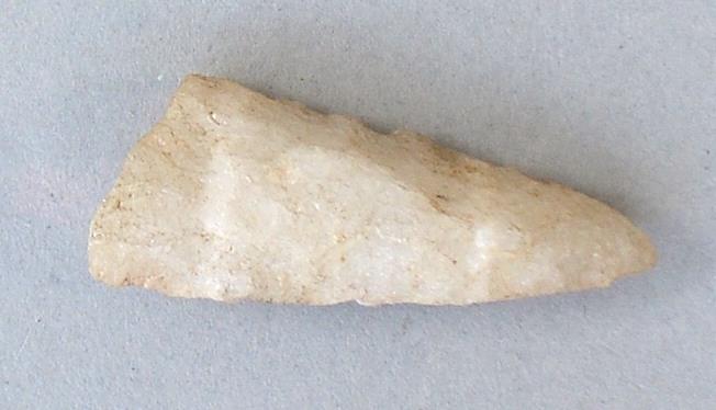 V C 7239