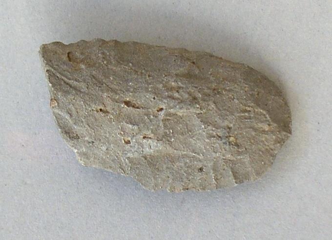 V C 4116 o
