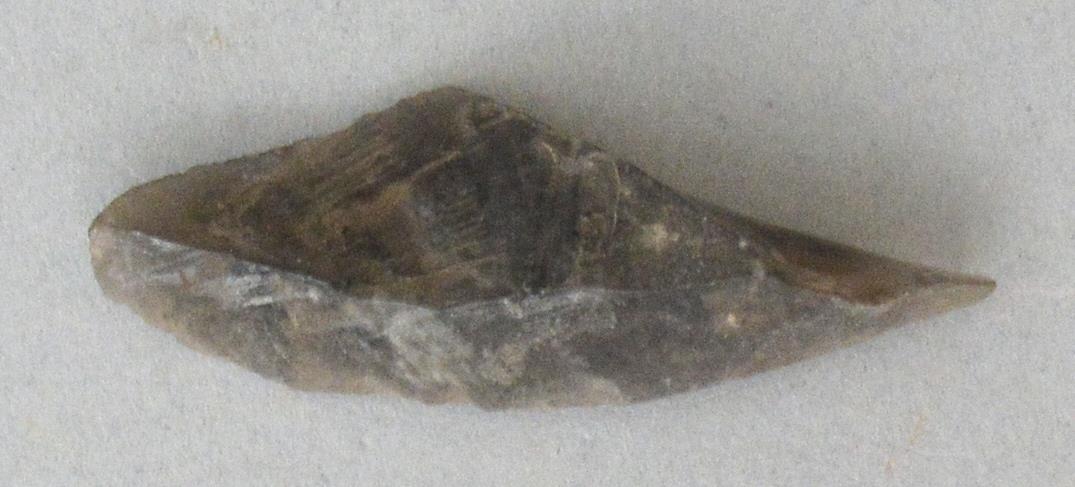 V C 7249