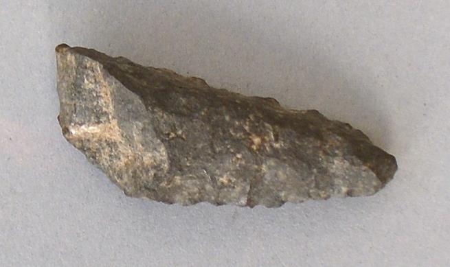 V C 7244