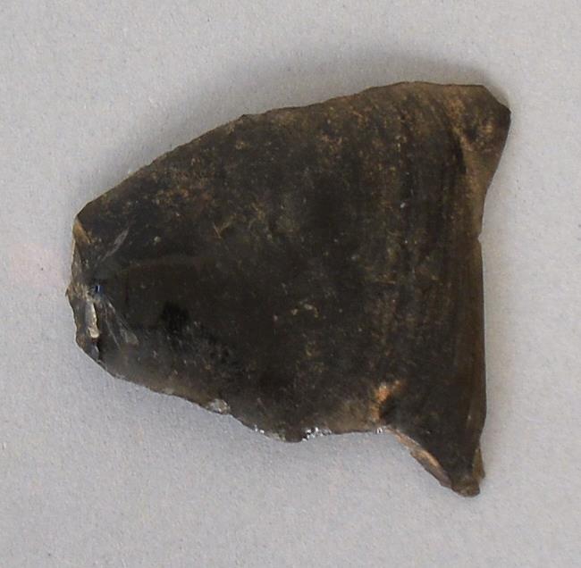 V C 7256