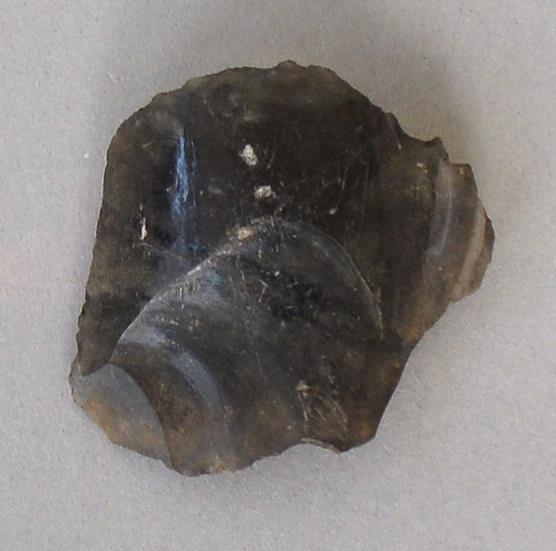 V C 7261