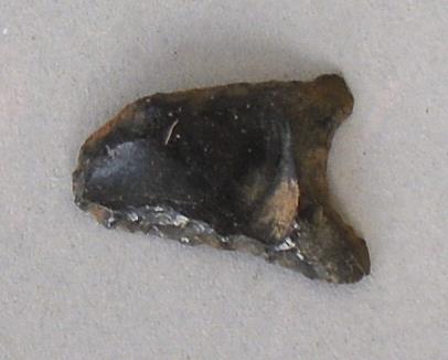 V C 7262