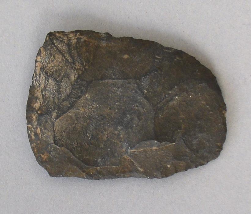V C 7264