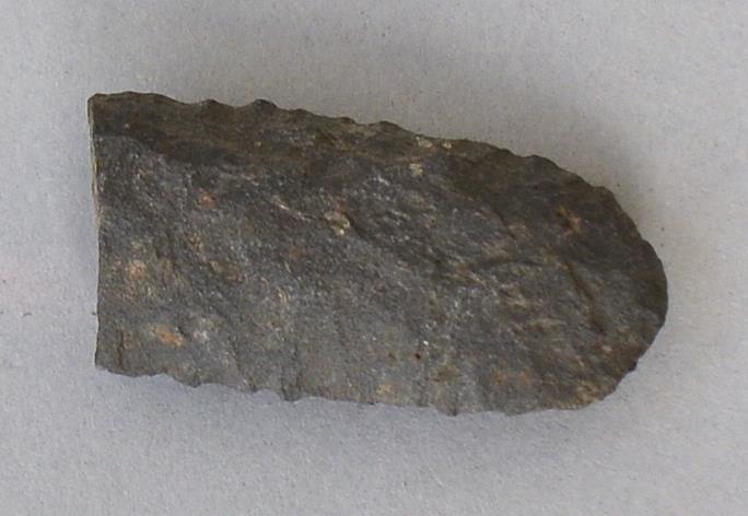 V C 7281