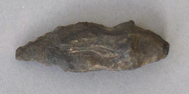 V C 8313