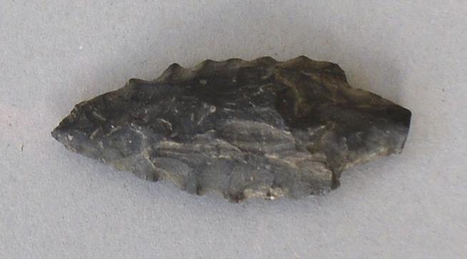 V C 8314
