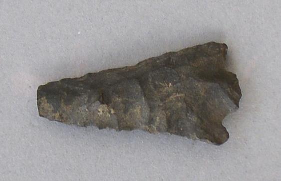 V C 8318