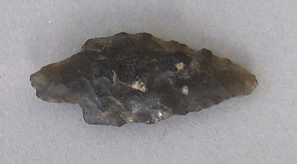 V C 8319