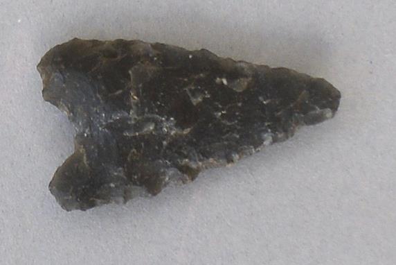 V C 8321