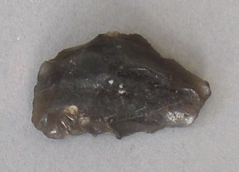 V C 8323