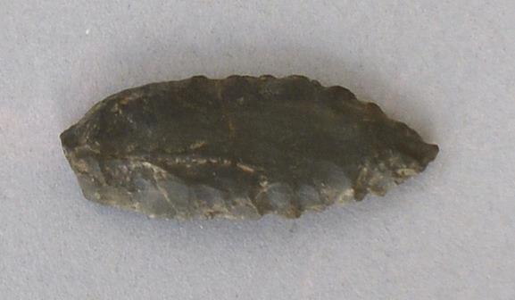 V C 8324