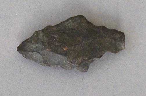 V C 8328