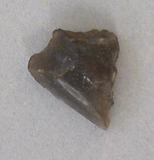 V C 8329