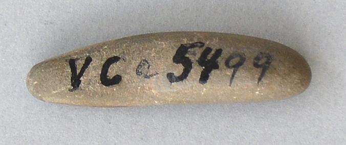 V C 5499