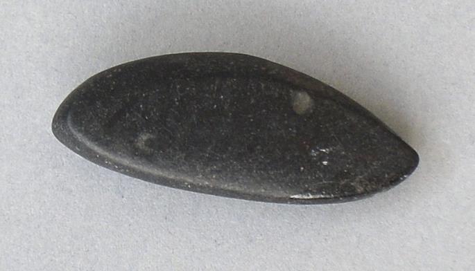 V C 5539