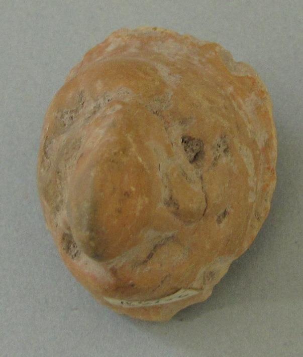 IV Ca 22156
