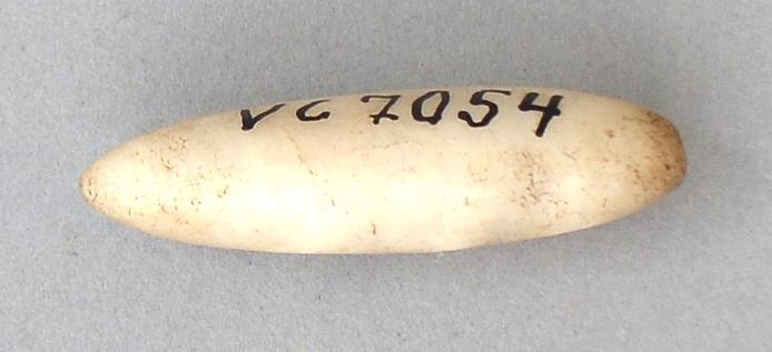 V C 7054