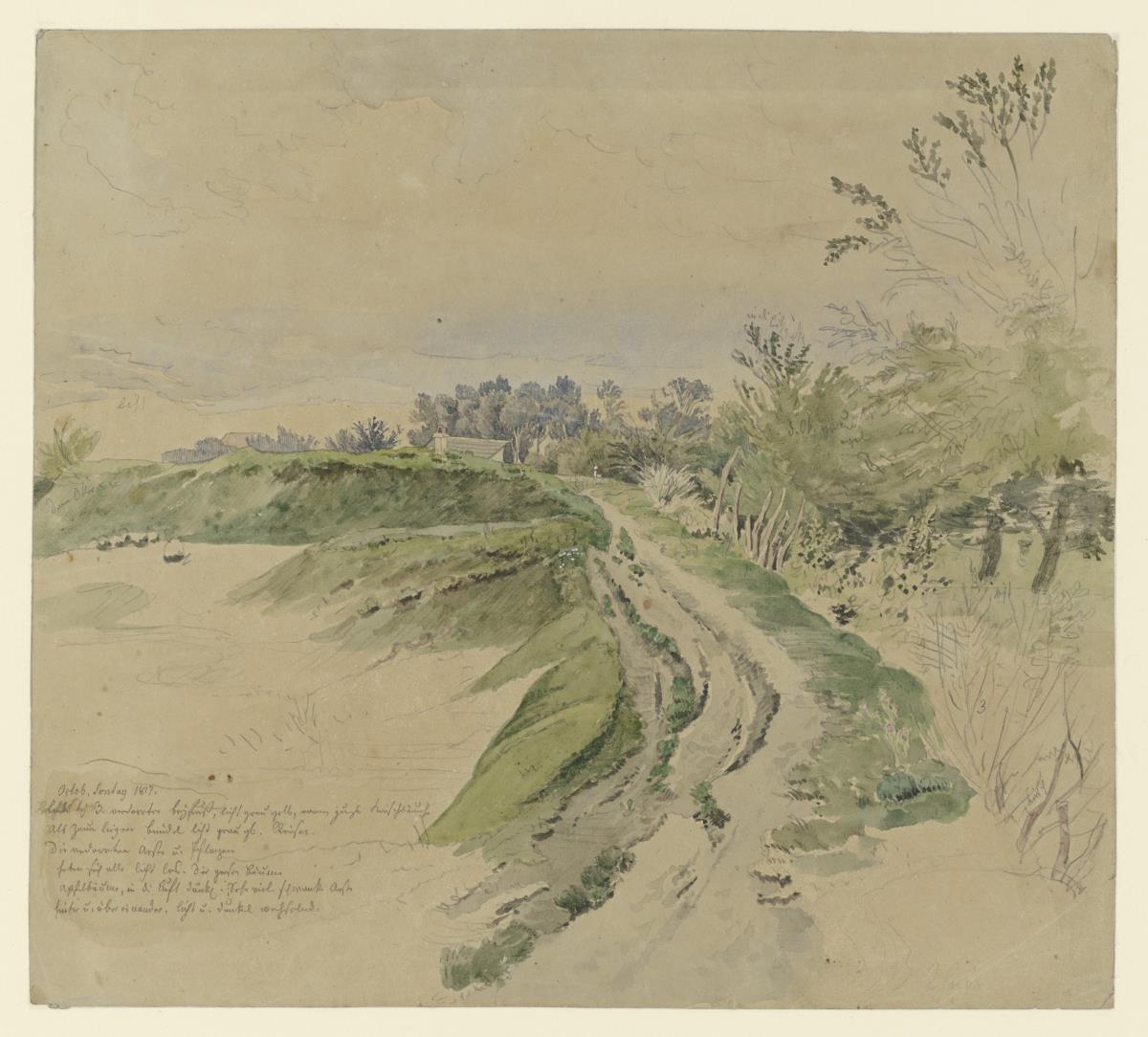 Landschaft mit ausgefahrenem Weg