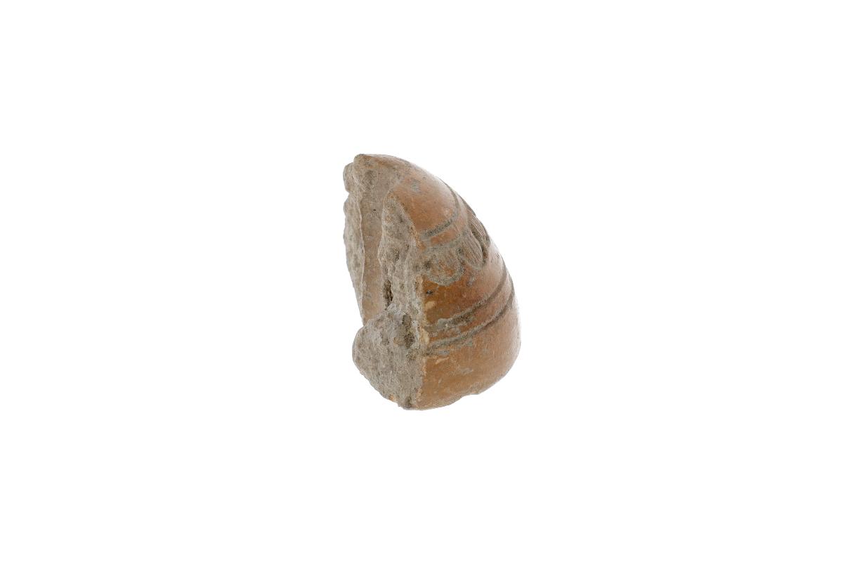IV Ca 3162 (47)