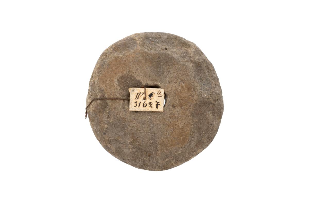 IV Ca 3162 (7)