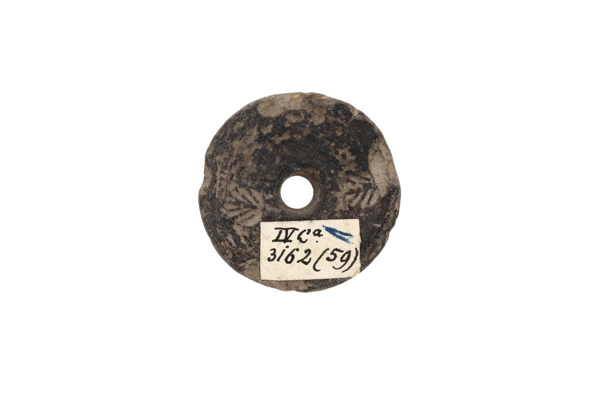 IV Ca 3162 (59)