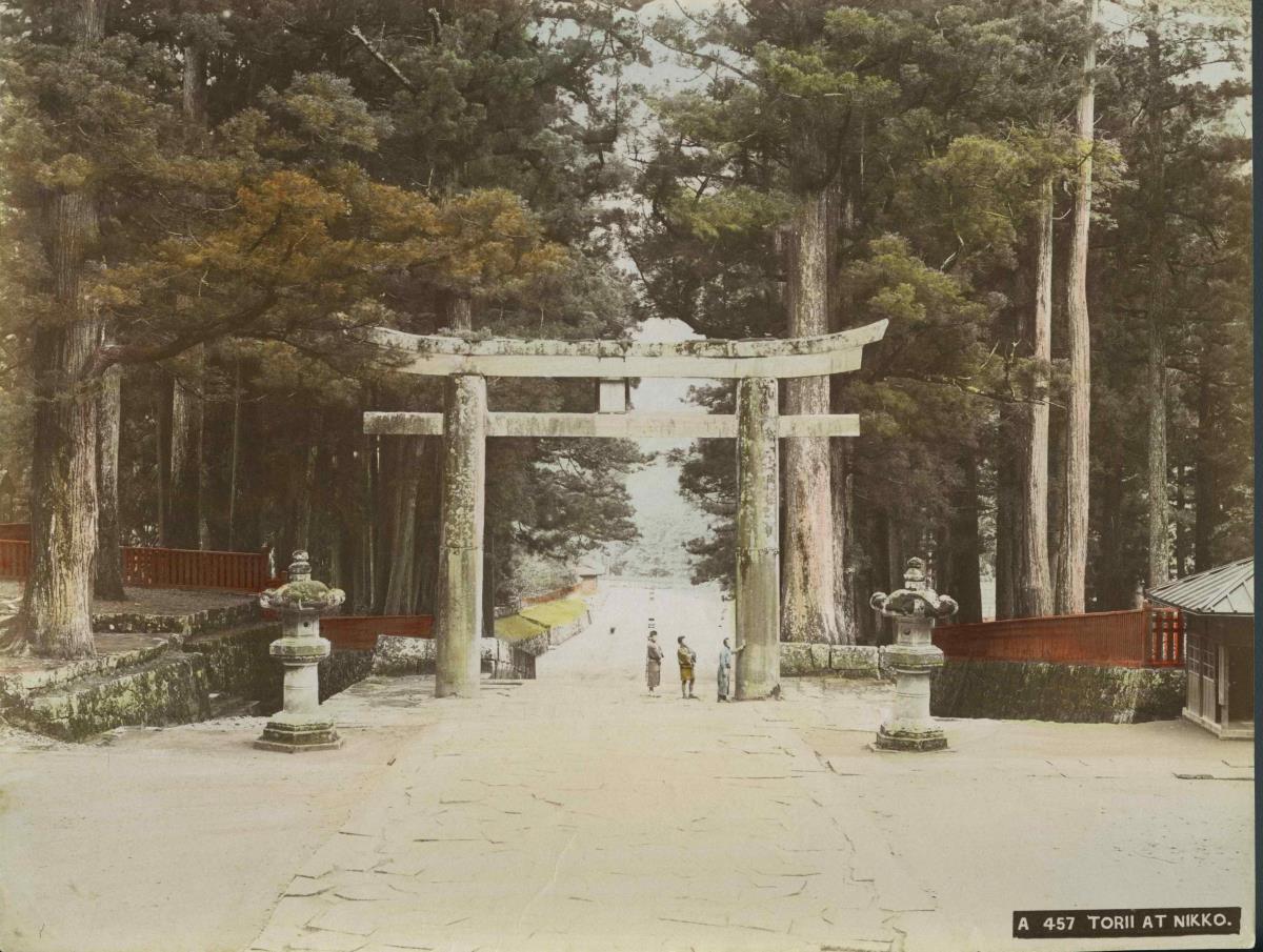 Ein Torii in Zedernwald von Nikkô