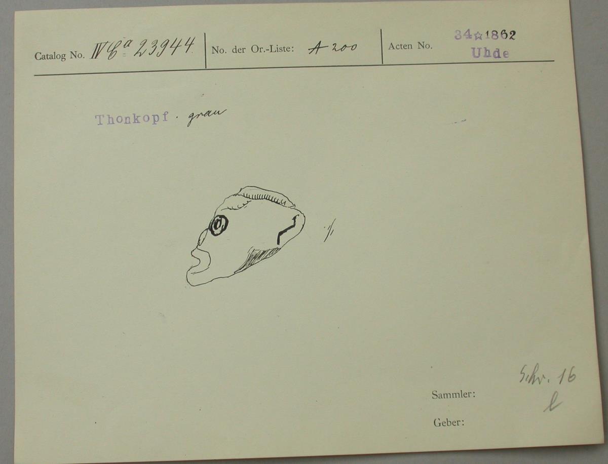 IV Ca 23944